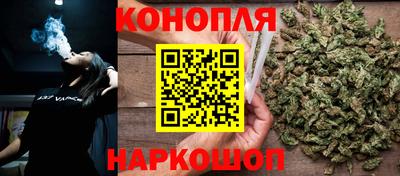 гидра Краснодар