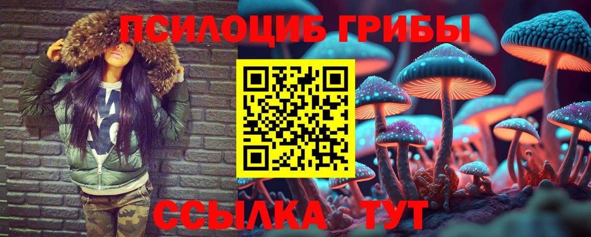 где можно купить наркотик  Вход с VPN  Соликамск  Галлюциногенные грибы Psilocybe 