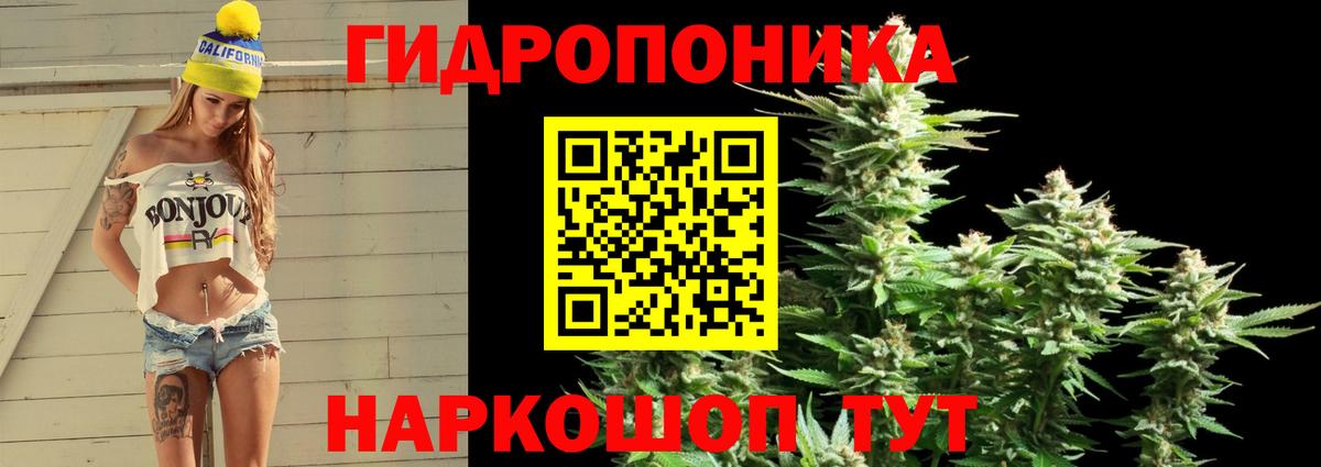 Конопля OG Kush Соликамск
